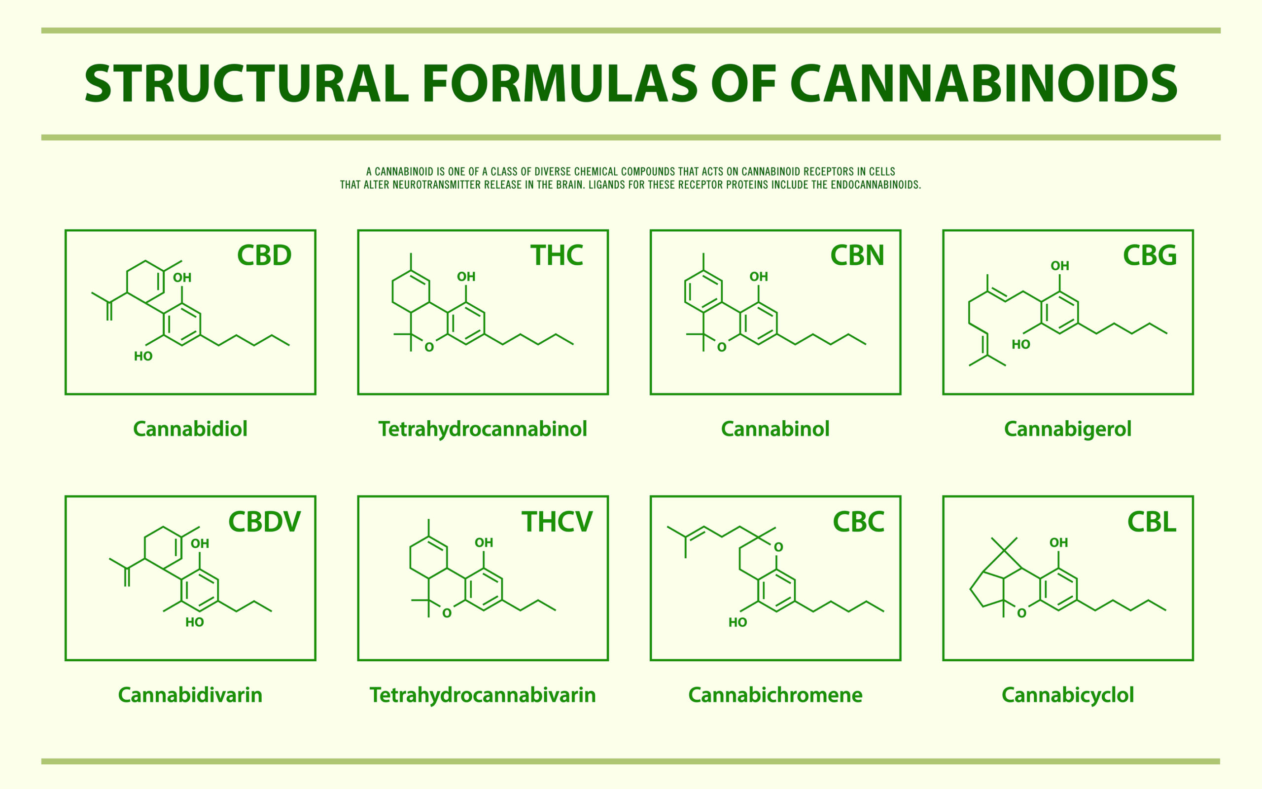 cannabinoid inforgraphic